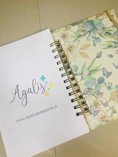 Agenda Planificadora de Gastos - Imagen 9